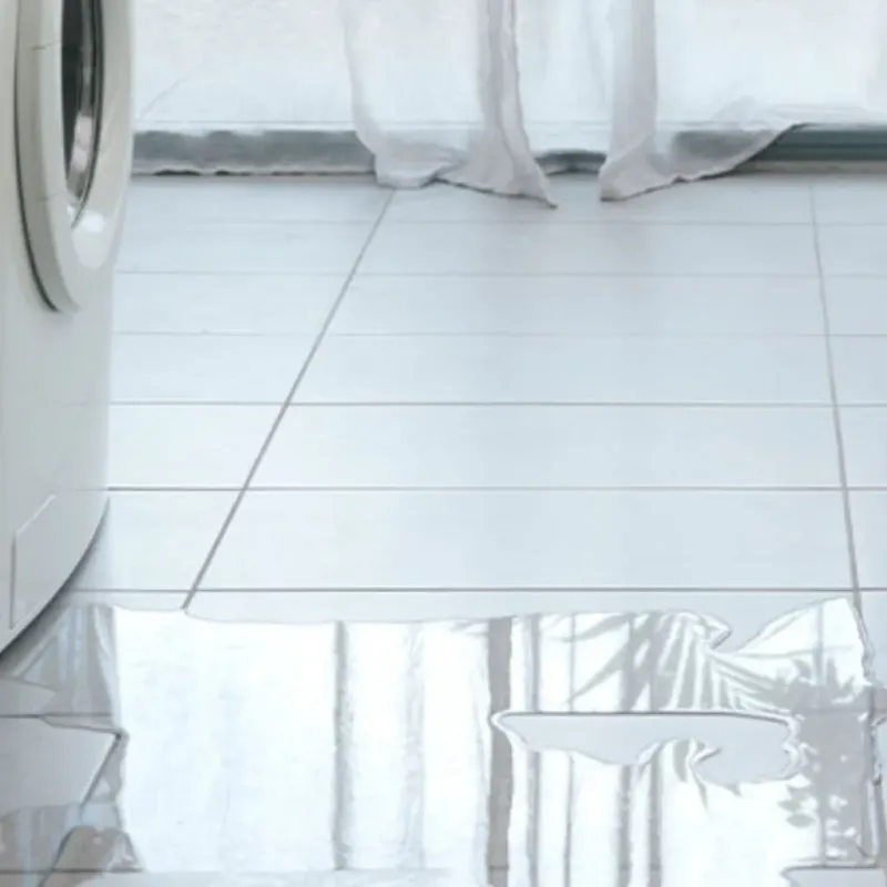 Appliance Leak Cleanup in Williamsport, PA