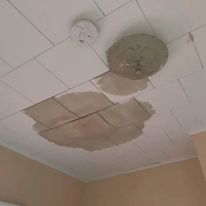 Ceiling Water Damage Repair in Williamsport, PA