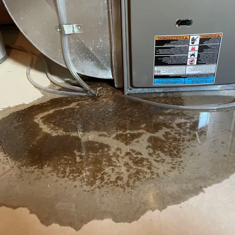 Pipe Burst and Leak Restoration in Williamsport, PA